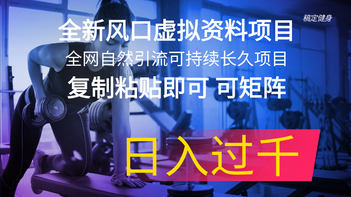 （11587期）全新风口虚拟资料项目 全网自然引流可持续长久项目 复制粘贴即可可矩阵… - 来及网络