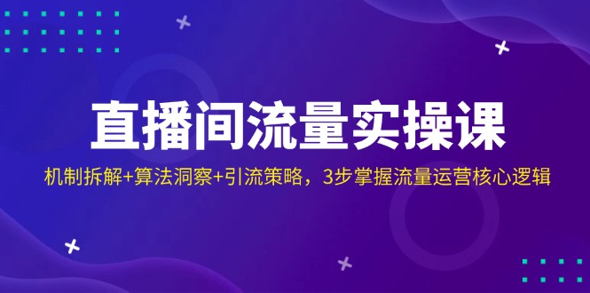 （14122期）直播间流量实操课：机制拆解+算法洞察+引流策略，3步掌握流量运营核心逻辑 - 来及网络