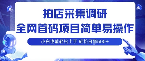 拍店采集调研，全网首码项目，简单易操作， 小白也能轻松上手，多账号操作，轻松日入5张【揭秘】 - 来及网络