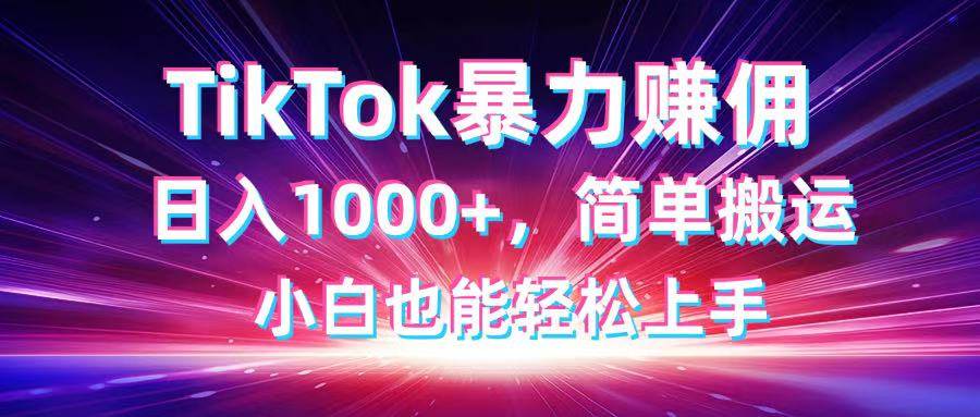 （14402期）TikTok搬运暴力赚佣，日入1000+，简单搬运，小白也能轻松上手 - 来及网络
