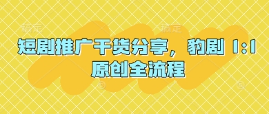短剧推广干货分享，豹剧 1:1原创全流程 - 来及网络