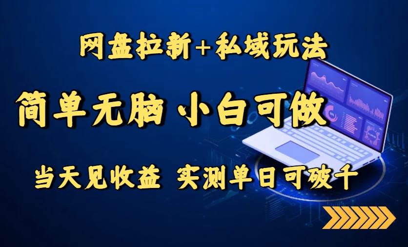 （15744期）网盘拉新+私域玩法，简单无脑，小白可做，当天见收益，实测单日可破千 - 来及网络