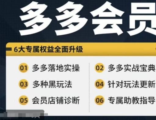 拼多多会员，拼多多实战宝典+实战落地实操，从新手到高阶内容全面覆盖 - 来及网络