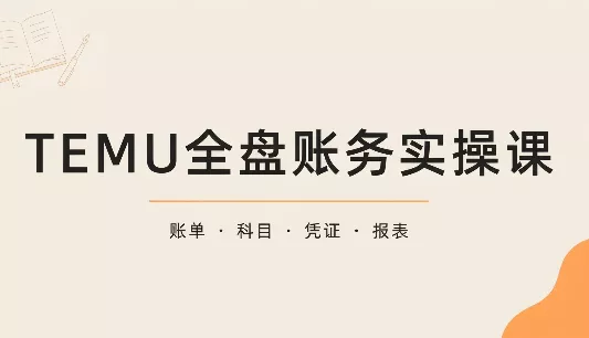 TEMU全盘账务实操课：账单导出、科目设置、利润核算 - 来及网络
