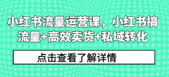 小红书流量运营课，小红书搞流量+高效卖货+私域转化 - 来及网络