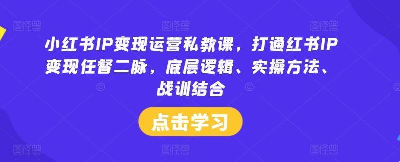 小红书IP变现运营私教课，打通红书IP变现任督二脉，底层逻辑、实操方法、战训结合 - 来及网络