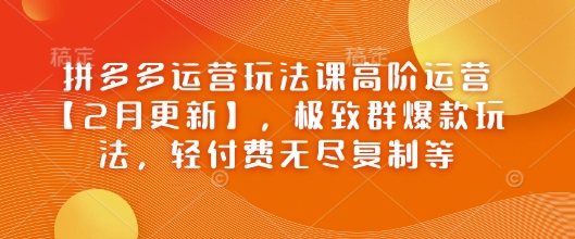 拼多多运营玩法课高阶运营【2月更新】，极致群爆款玩法，轻付费无尽复制等 - 来及网络