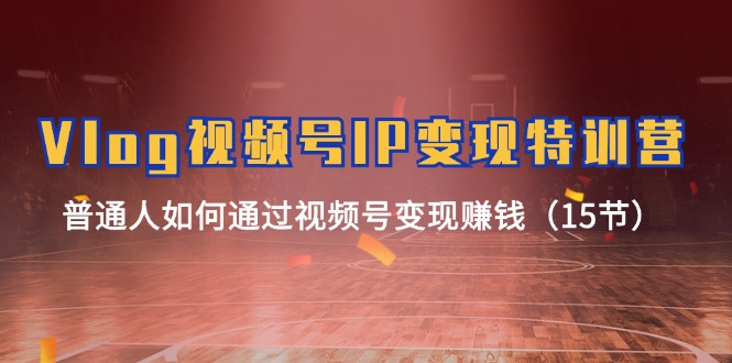 （11654期）Vlog 视频号IP变现特训营，普通人如何通过视频号变现赚钱（15节） - 来及网络