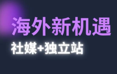 2025出海新机遇(社媒+独立站)，海外新机遇，实现独立站的高效运营与出海 - 来及网络
