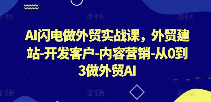 AI闪电做外贸实战课，外贸建站-开发客户-内容营销-从0到3做外贸AI（更新） - 来及网络