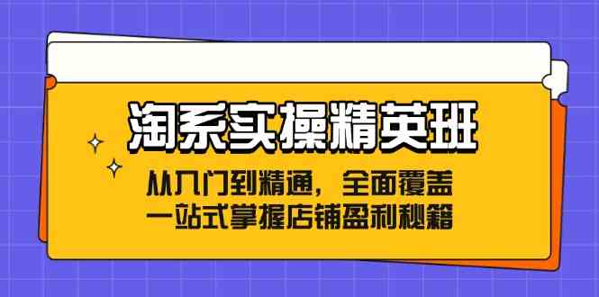 淘系实操精英班：从入门到精通，全面覆盖，一站式掌握店铺盈利秘籍 - 来及网络