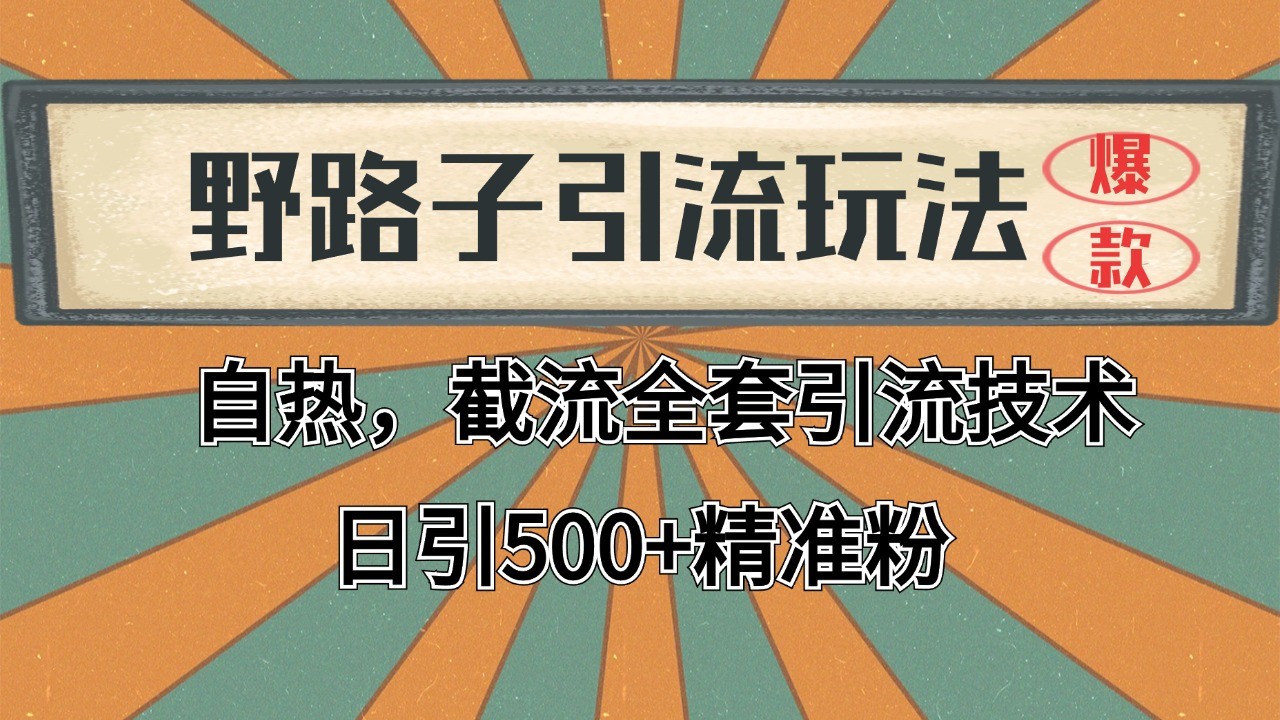 抖音小红书视频号全平台引流打法，全自动引流日引2000+精准客户 - 来及网络