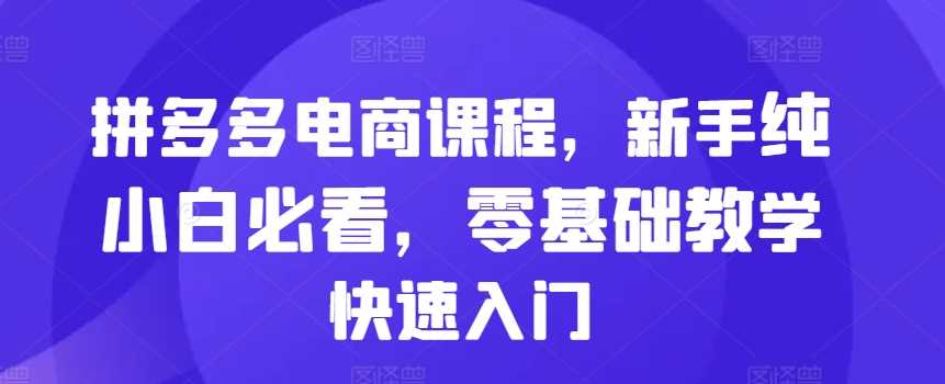 拼多多电商课程，新手纯小白必看，零基础教学快速入门 - 来及网络