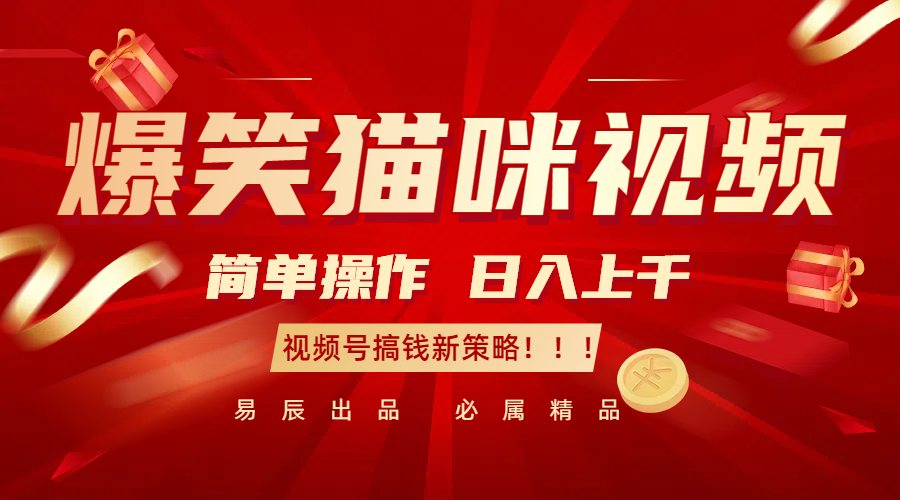 爆笑猫咪视频：简单操作，日入过千，视频号搞钱新策略！ - 来及网络