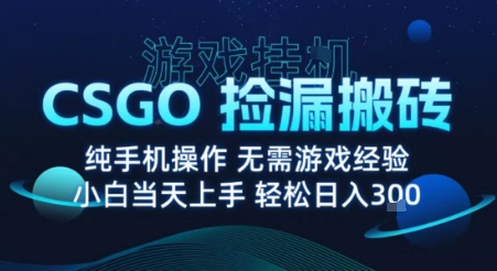 8月最新游戏搬砖，CSGO纯挂G，不需要玩游戏，实现真挂G，月入1W+【揭秘】 - 来及网络