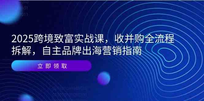 2025跨境致富实战课，收并购全流程拆解，自主品牌出海营销指南 - 来及网络