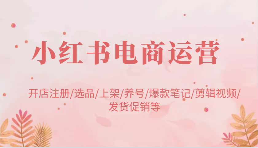 小红书电商运营：开店注册/选品/上架/养号/爆款笔记/剪辑视频/发货促销等 - 来及网络