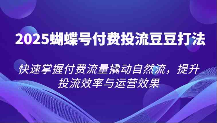 2025蝴蝶号付费投流豆豆打法，快速掌握付费流量撬动自然流，提升投流效率与运营效果 - 来及网络