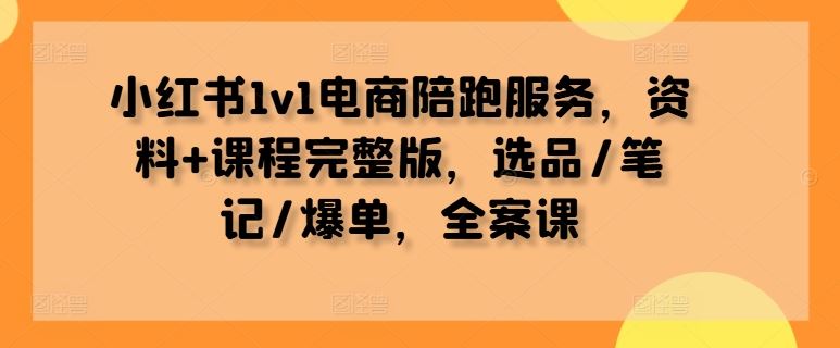 小红书1v1电商陪跑服务，资料+课程完整版，选品/笔记/爆单，全案课 - 来及网络