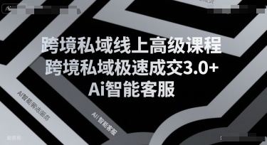 跨境私域线上高级课程，跨境私域极速成交3.0+Ai智能客服 - 来及网络