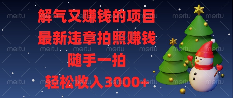 （13686期）解气又赚钱的项目，最新违章拍照赚钱，随手一拍，轻松收入3000+ - 来及网络