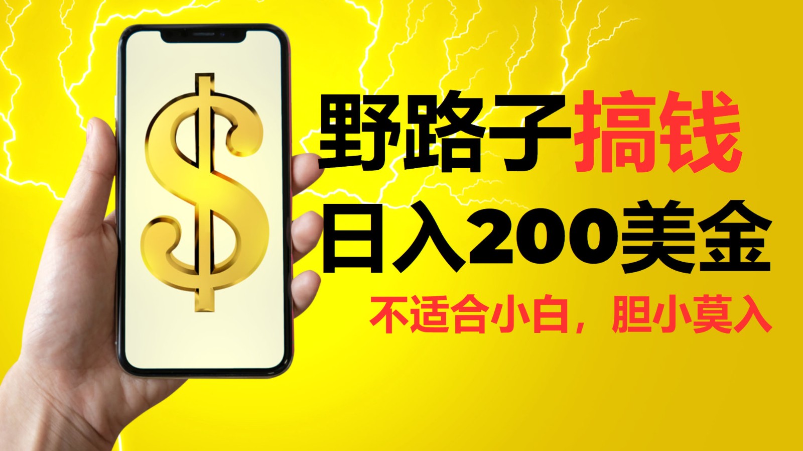 挂机野路子搞钱，日入200美金，路子很野，小白莫入 - 来及网络