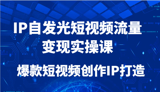 IP自发光短视频流量变现实操课，爆款短视频创作IP打造 - 来及网络