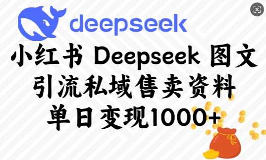 小红书Deepseek图文引流私域售卖资料，单日变现多张 - 来及网络