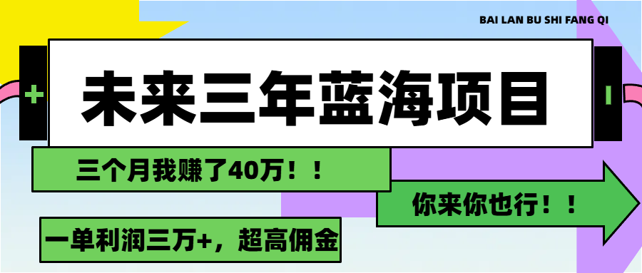 （11716期）未来三年，蓝海赛道，月入3万+ - 来及网络