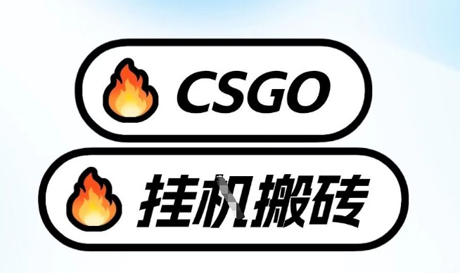 真全网独家CSGO挂G，最新玩法,单日捡漏1K+，不用电脑，不用打游戏【揭秘】 - 来及网络