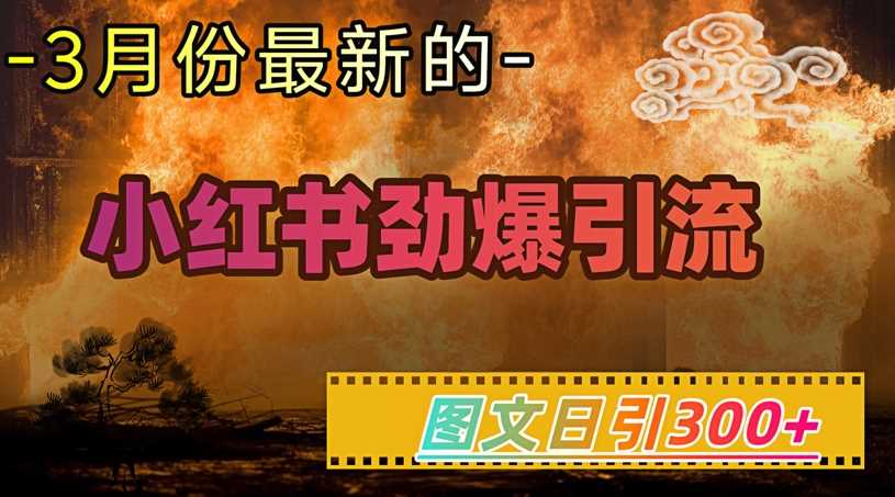 小红书超劲爆引流手段，图文日引300+轻松变现1W - 来及网络