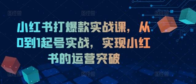 小红书打爆款实战课，从0到1起号实战，实现小红书的运营突破 - 来及网络