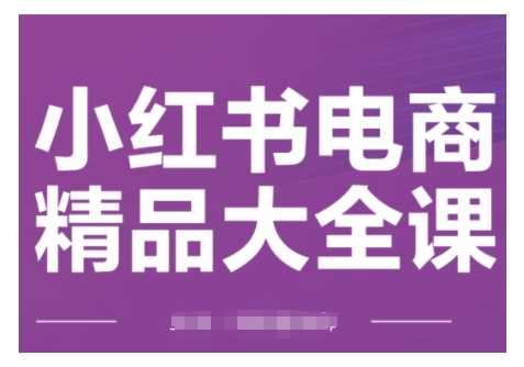 小红书电商精品大全课，快速掌握小红书运营技巧，实现精准引流与爆单目标，轻松玩转小红书电商 - 来及网络
