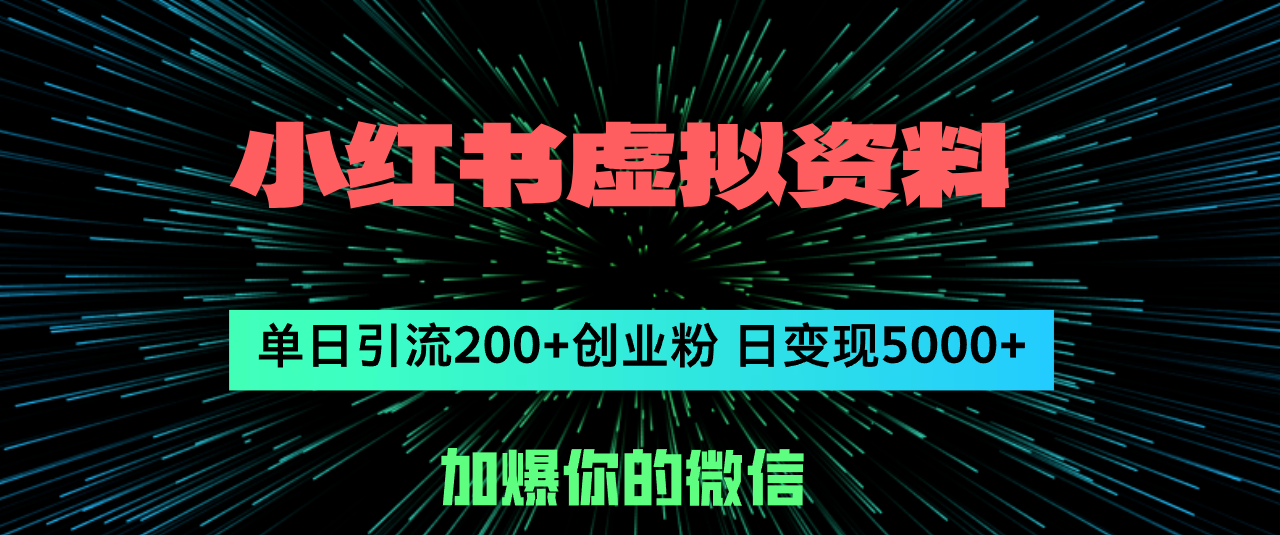 （12164期）小红书虚拟资料日引流200+创业粉，单日变现5000+ - 来及网络