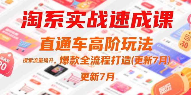 （15374期）淘系实战速成课，直通车高阶玩法，搜索流量提升，爆款全流程打造(更新7月) - 来及网络