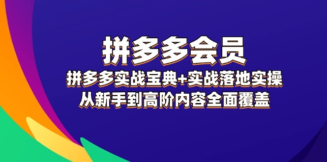 （12056期）拼多多 会员，拼多多实战宝典+实战落地实操，从新手到高阶内容全面覆盖 - 来及网络
