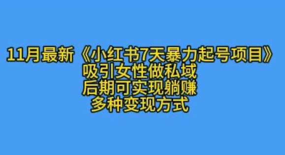 K总部落11月最新小红书7天暴力起号项目，吸引女性做私域【揭秘】 - 来及网络