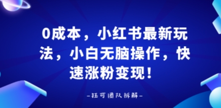 0成本，小红书最新玩法，小白无脑操作，快速涨粉变现 - 来及网络