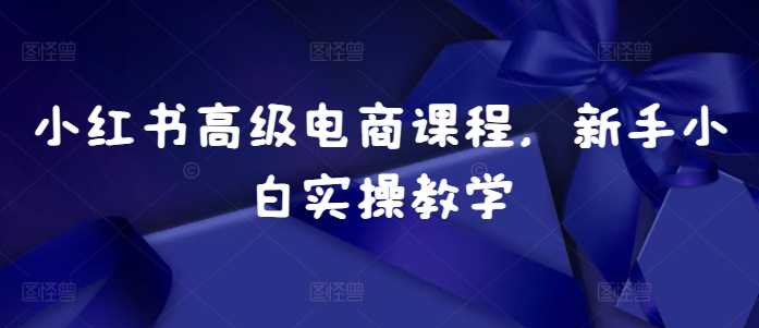 小红书高级电商课程，新手小白实操教学 - 来及网络