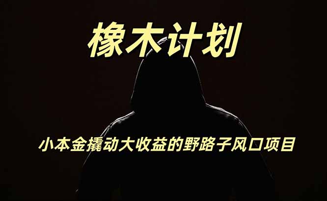 橡木计划，小投入撬动高回报的风口野路子项目，一天投入2小时左右 - 来及网络
