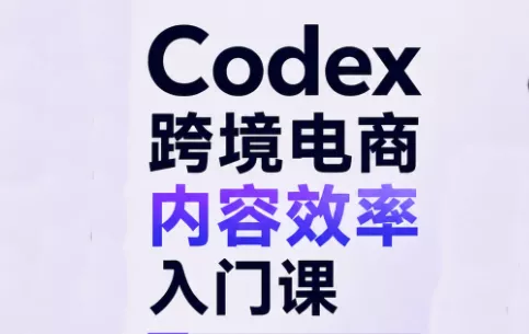 Codex跨境电商内容效率入门课 - 来及网络