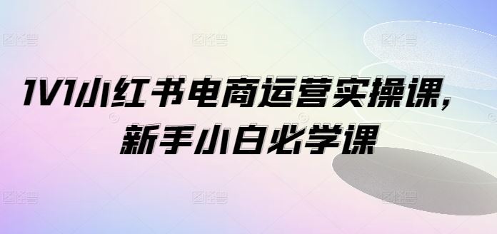 1V1小红书电商运营实操课，新手小白必学课 - 来及网络