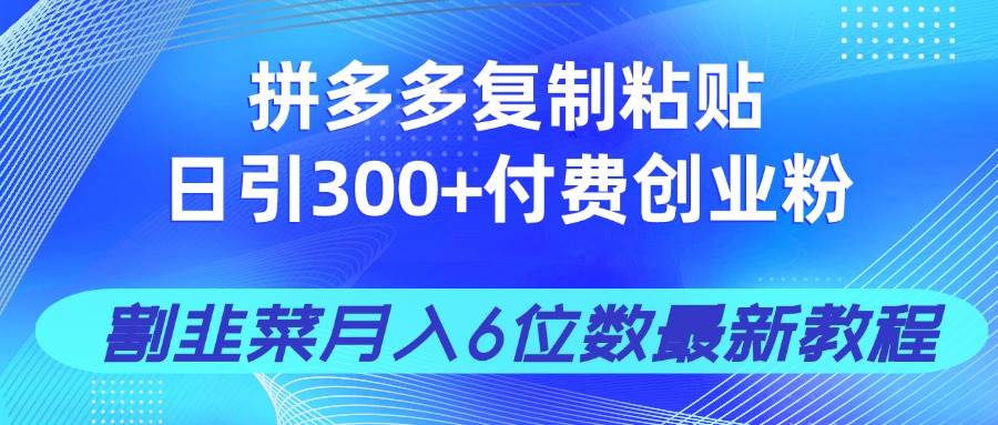 （14232期）拼多多复制粘贴日引300+付费创业粉，割韭菜月入6位数最新教程！ - 来及网络