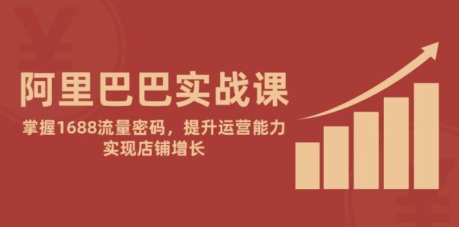 （14830期）阿里巴巴实战课：掌握1688流量密码，提升运营能力，实现店铺增长 - 来及网络