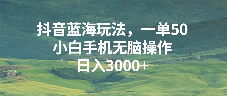 （13353期）抖音蓝海玩法，一单50，小白手机无脑操作，日入3000+ - 来及网络