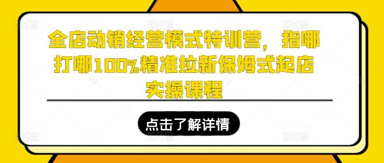 全店动销经营模式特训营，指哪打哪100%精准拉新保姆式起店实操课程 - 来及网络