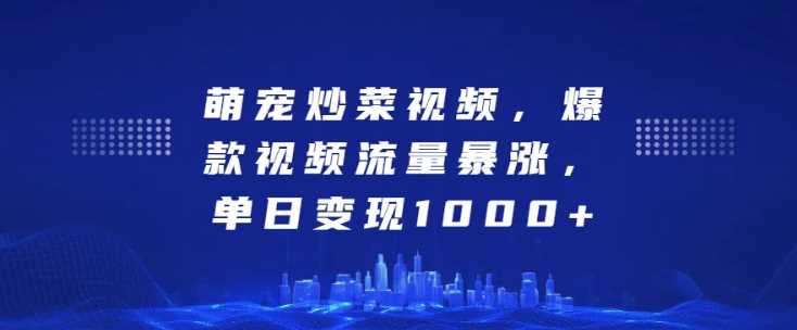 萌宠炒菜视频，爆款视频流量暴涨，单日变现1k - 来及网络