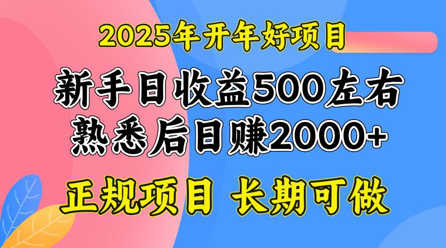（14076期）2025开年好项目，单号日收益2000左右 - 来及网络