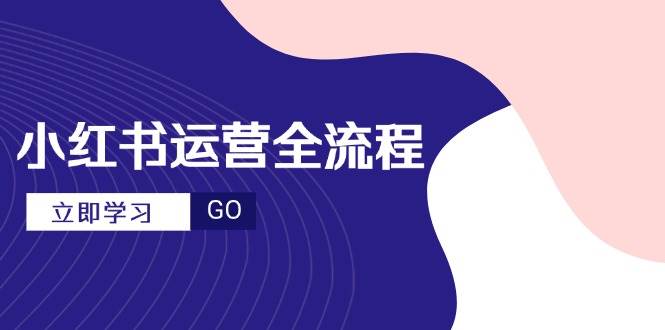 （14861期）小红书运营全流程，爆款选题文案，视频制作技巧，进阶达人宝典 - 来及网络