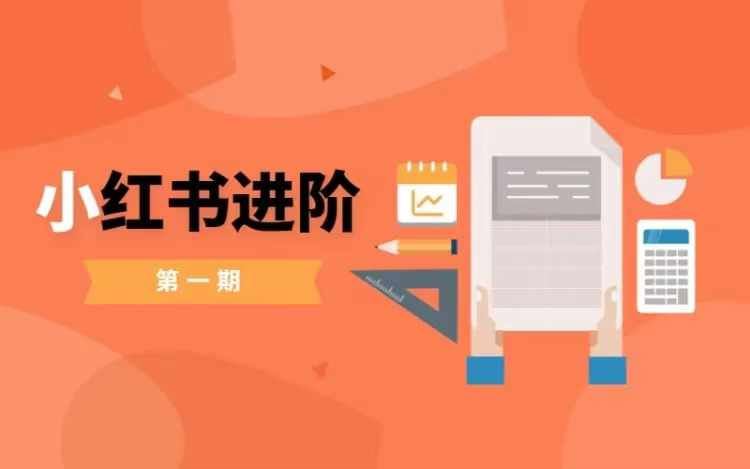 小红书进阶篇，零基础小白实战课，普通人变现的课程 - 来及网络